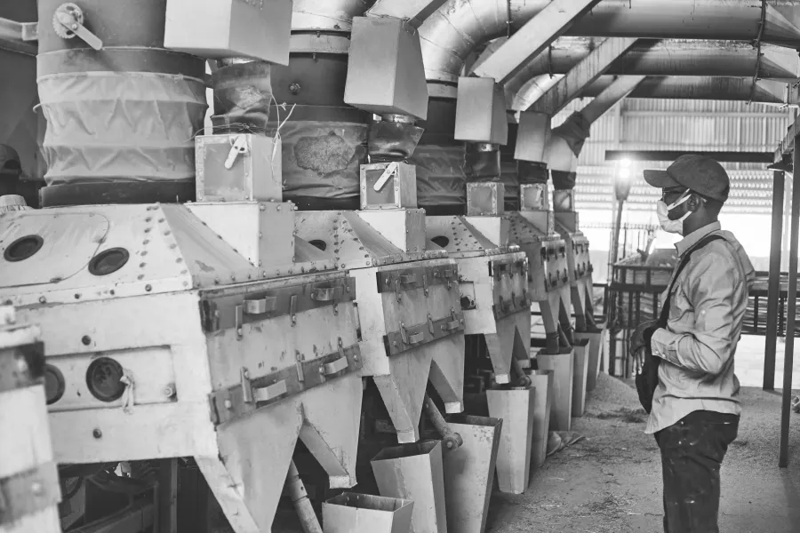 Fully automated packaging systems at the Amarava Agro rice factory