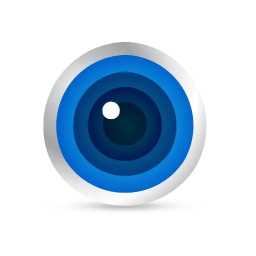 Our Vision